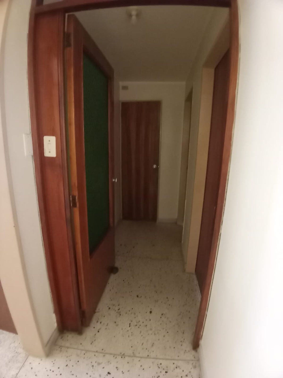 Miniatura 14