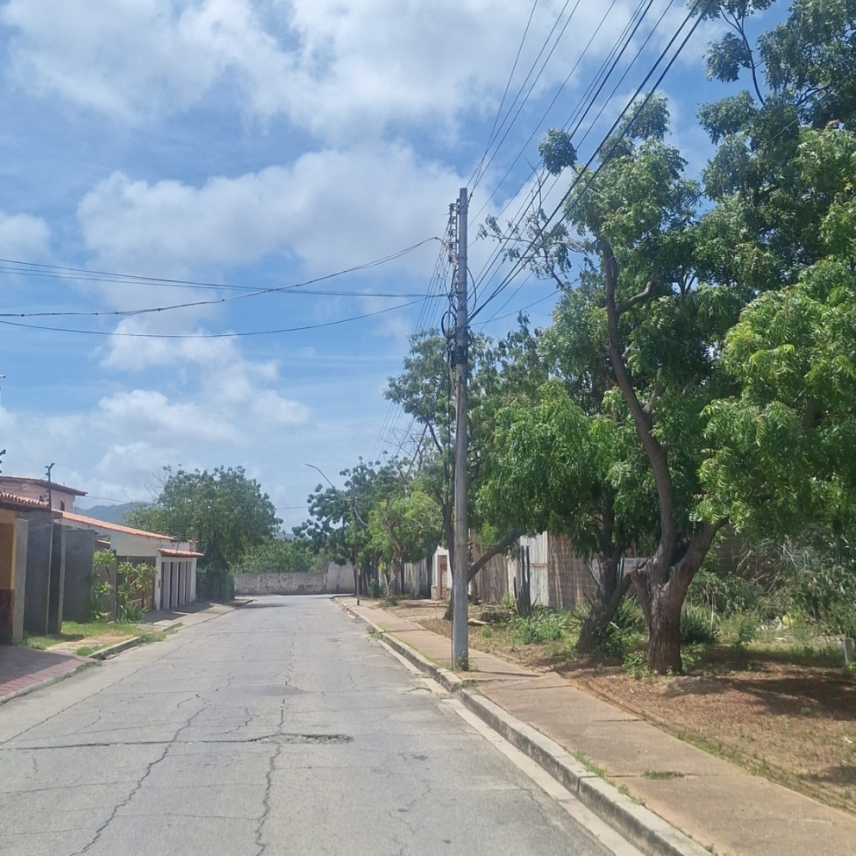 Foto principal