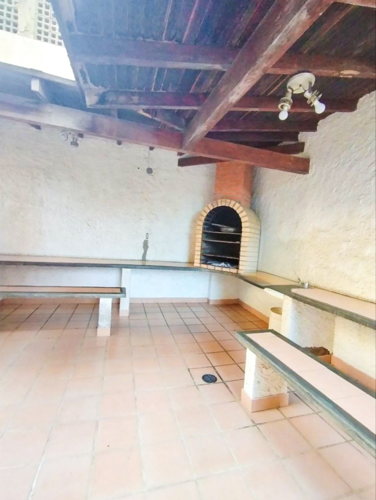 Miniatura 14