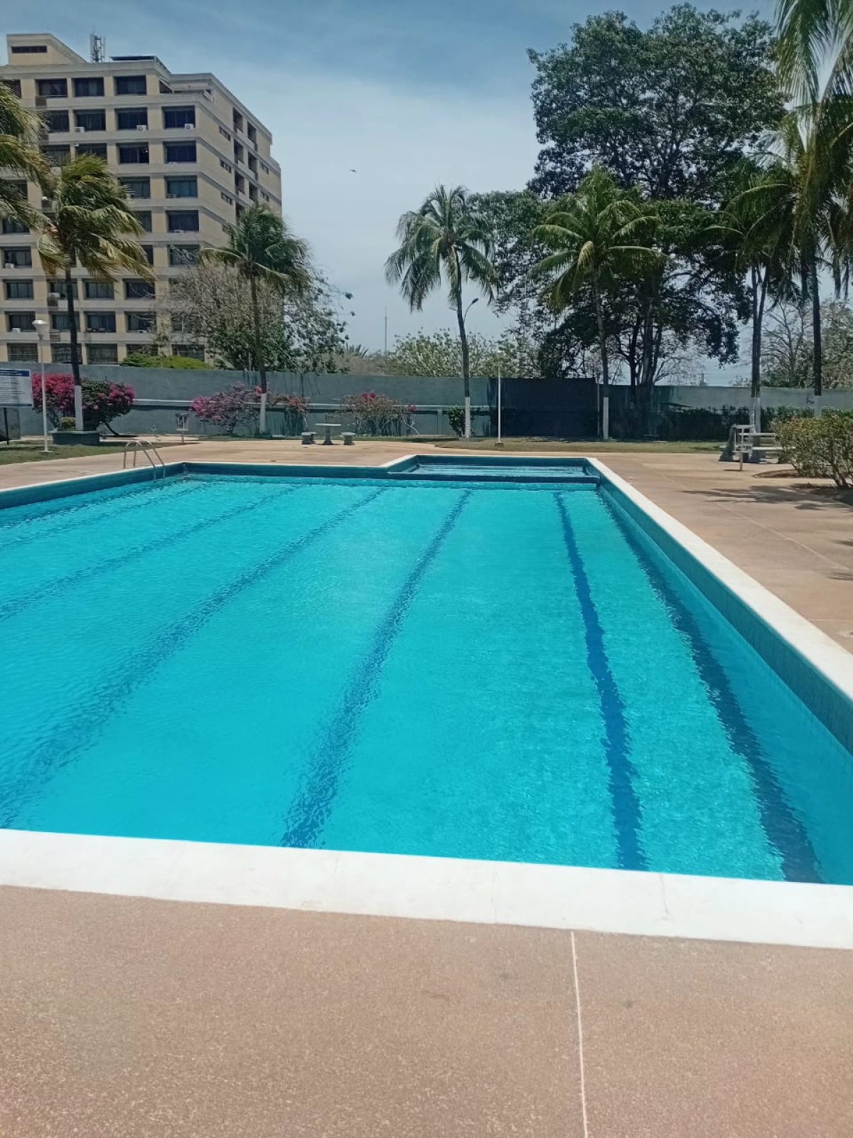 Miniatura 14