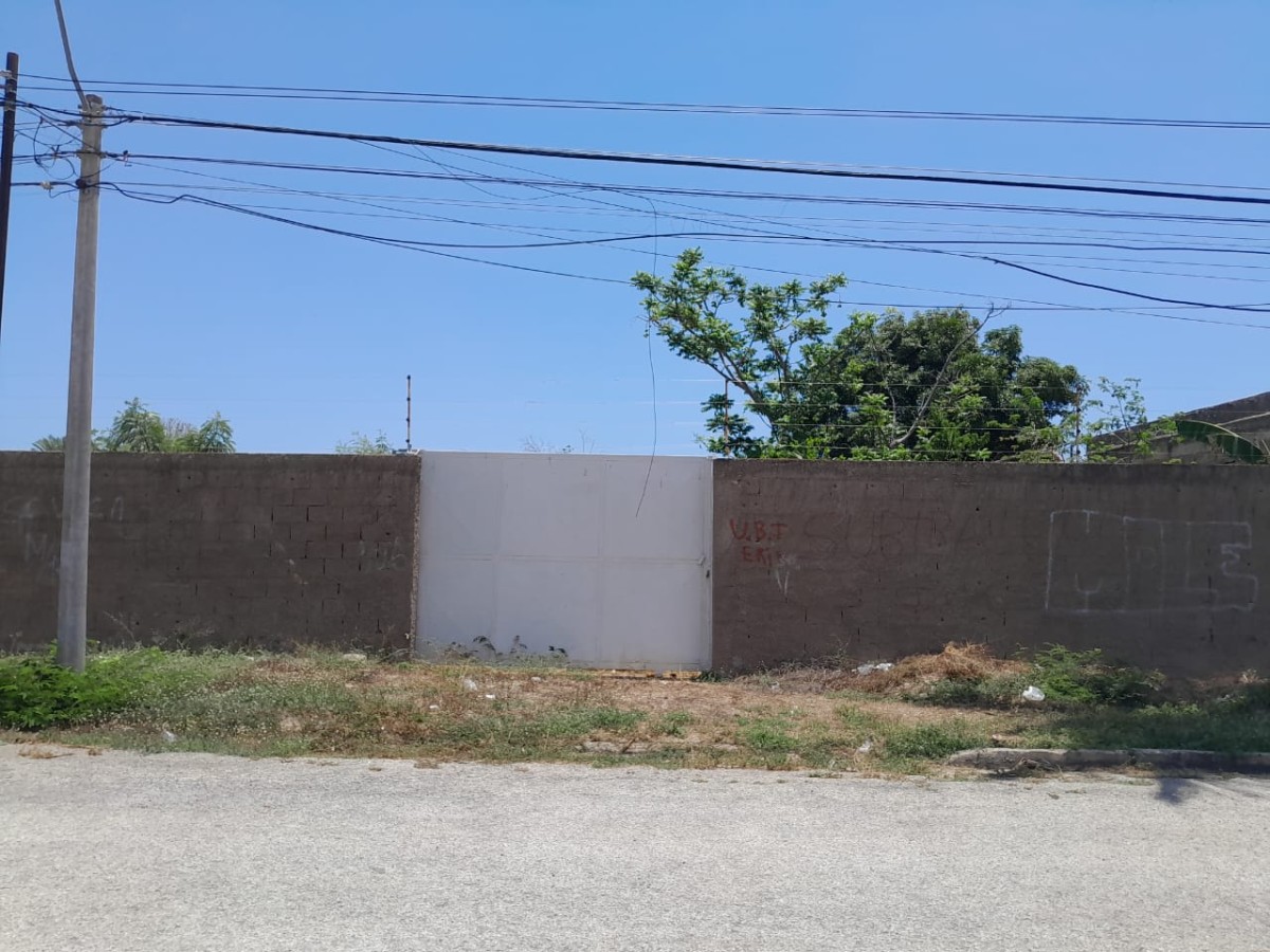 Foto principal