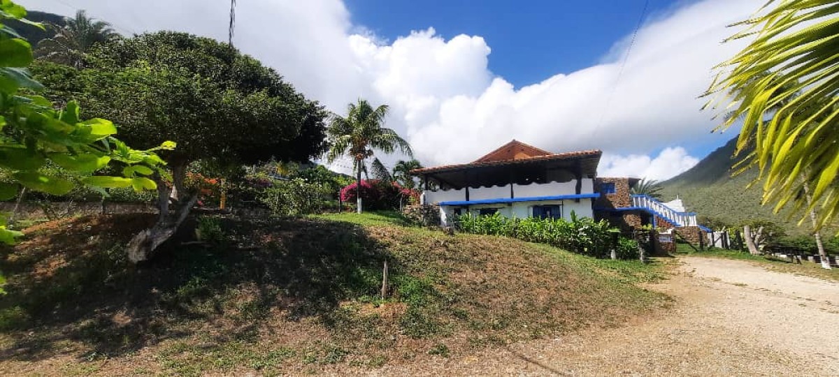Foto principal