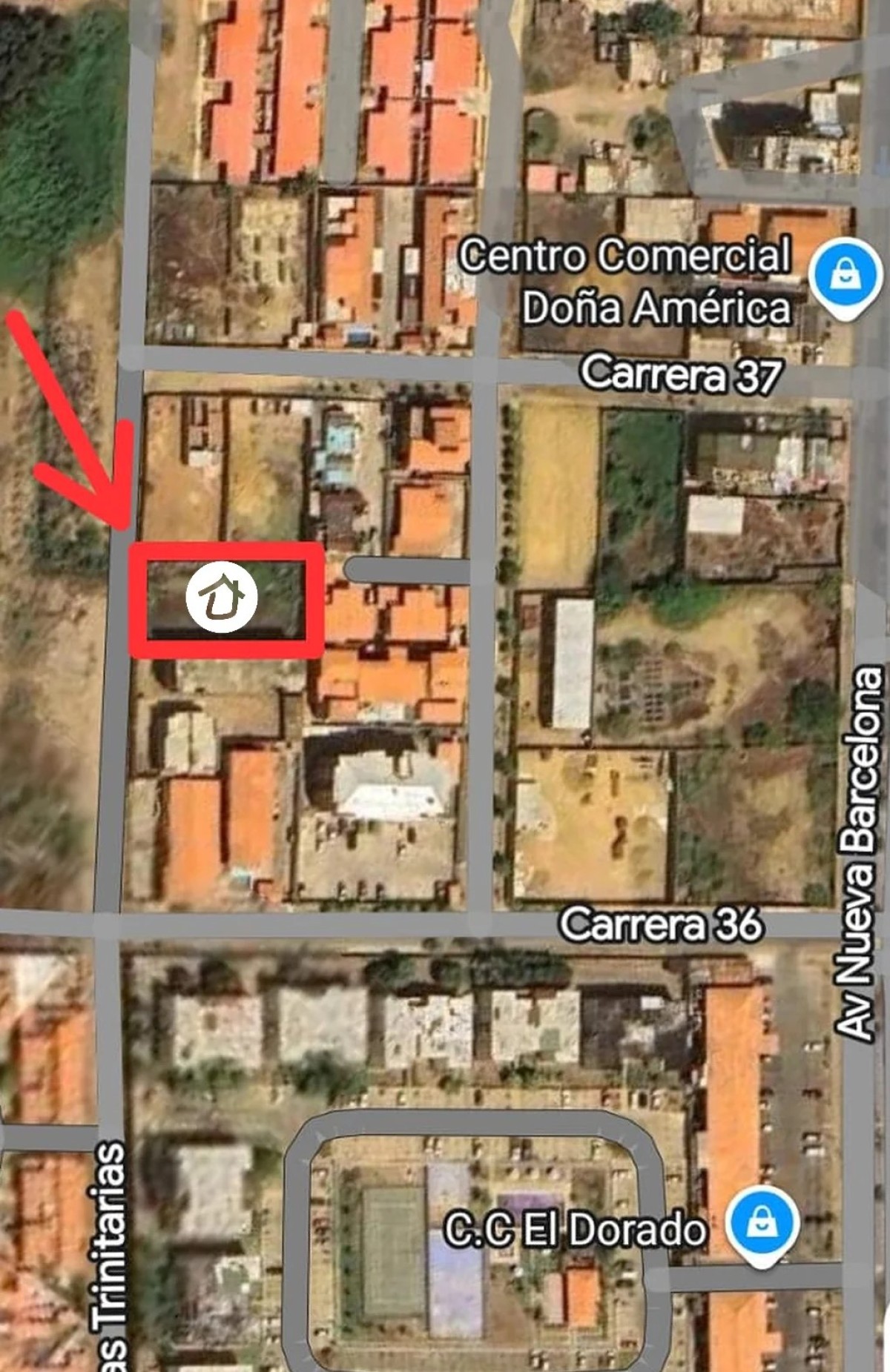 Foto principal