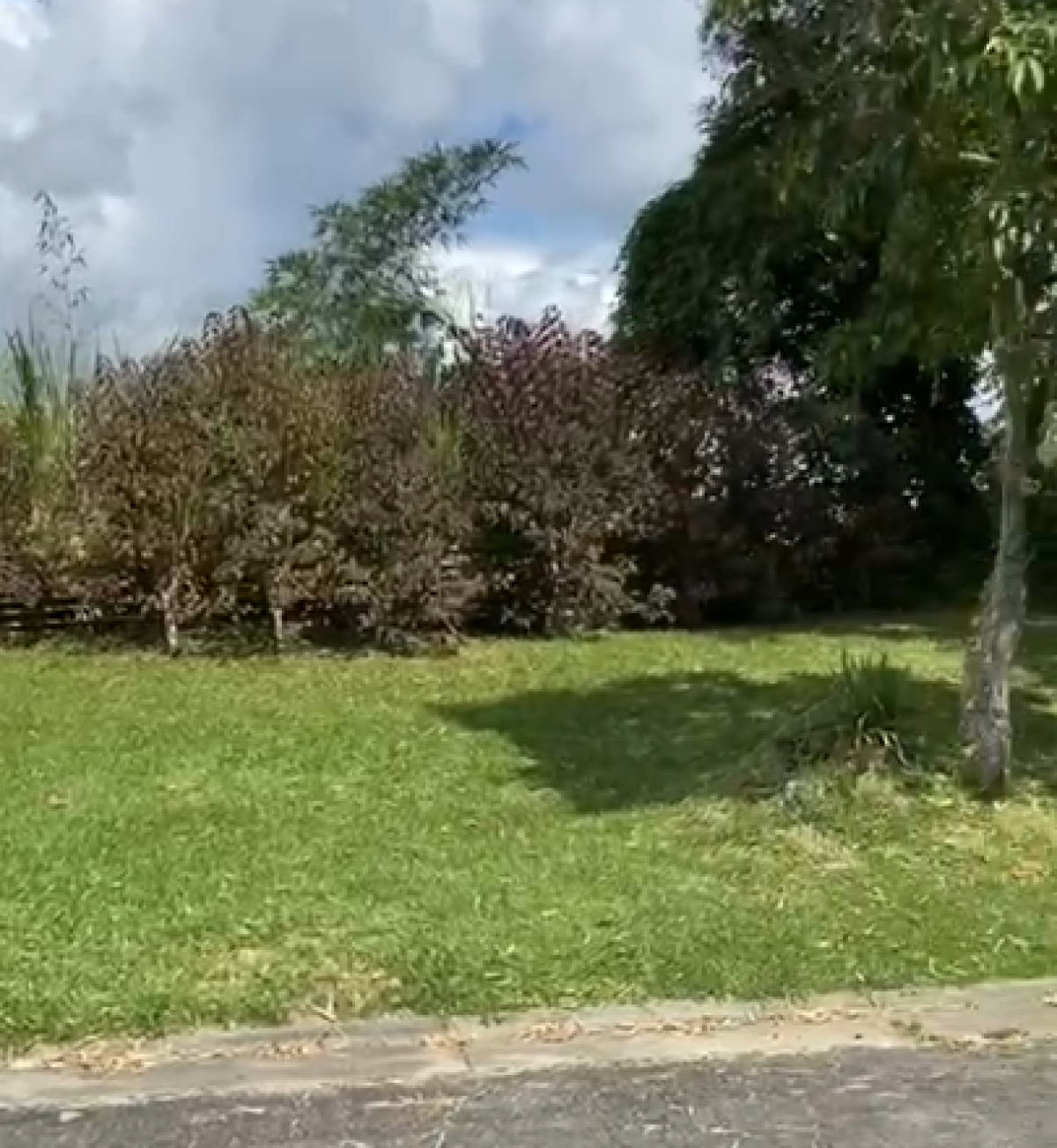 Foto principal