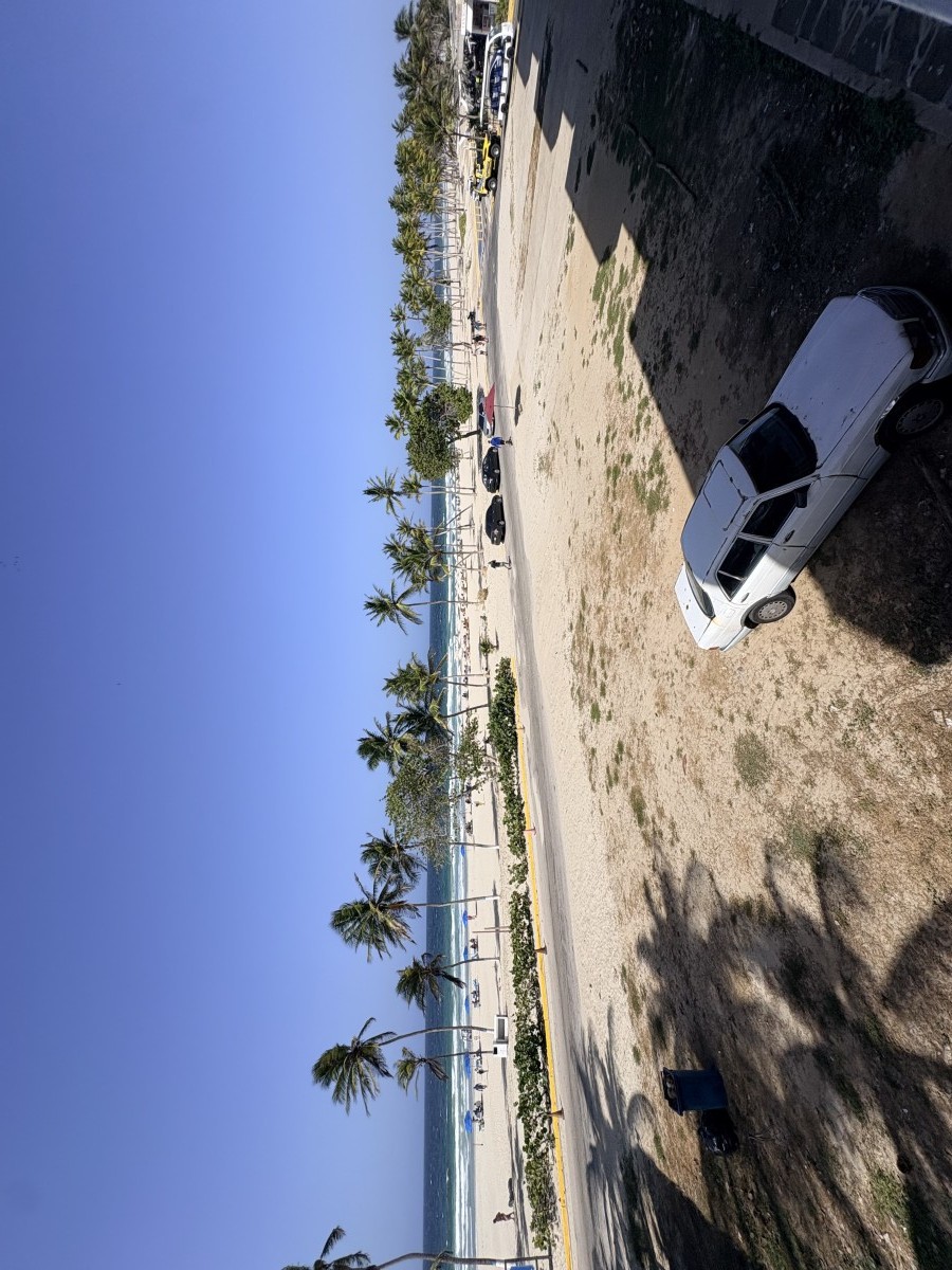 Miniatura 10
