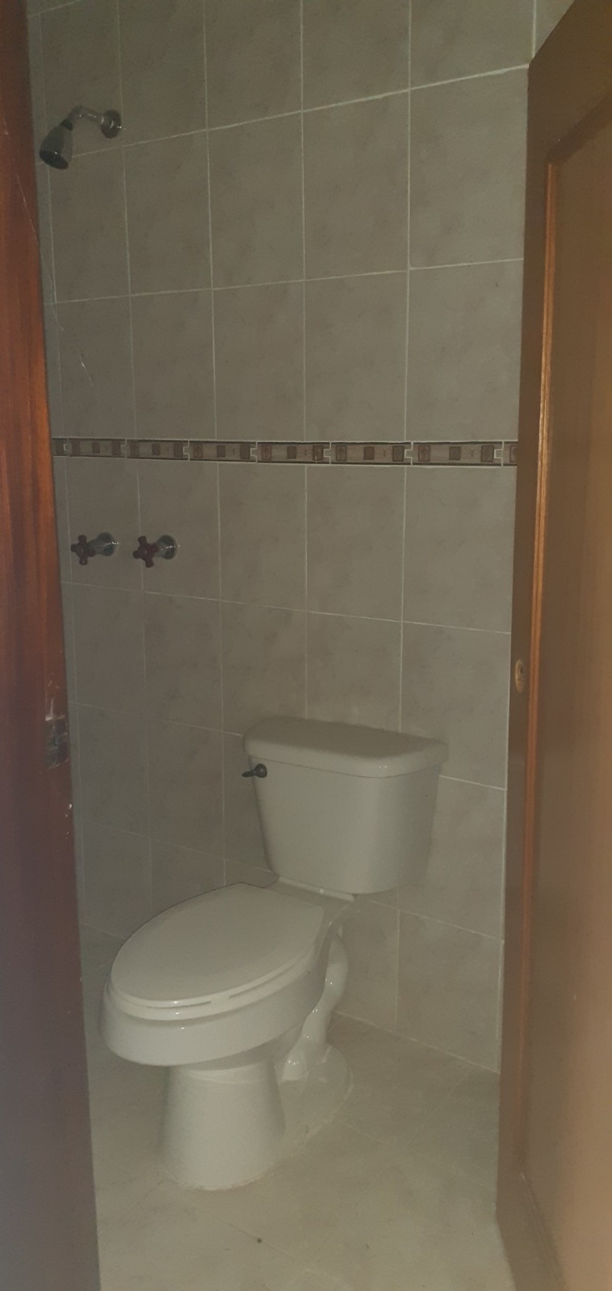 Miniatura 12