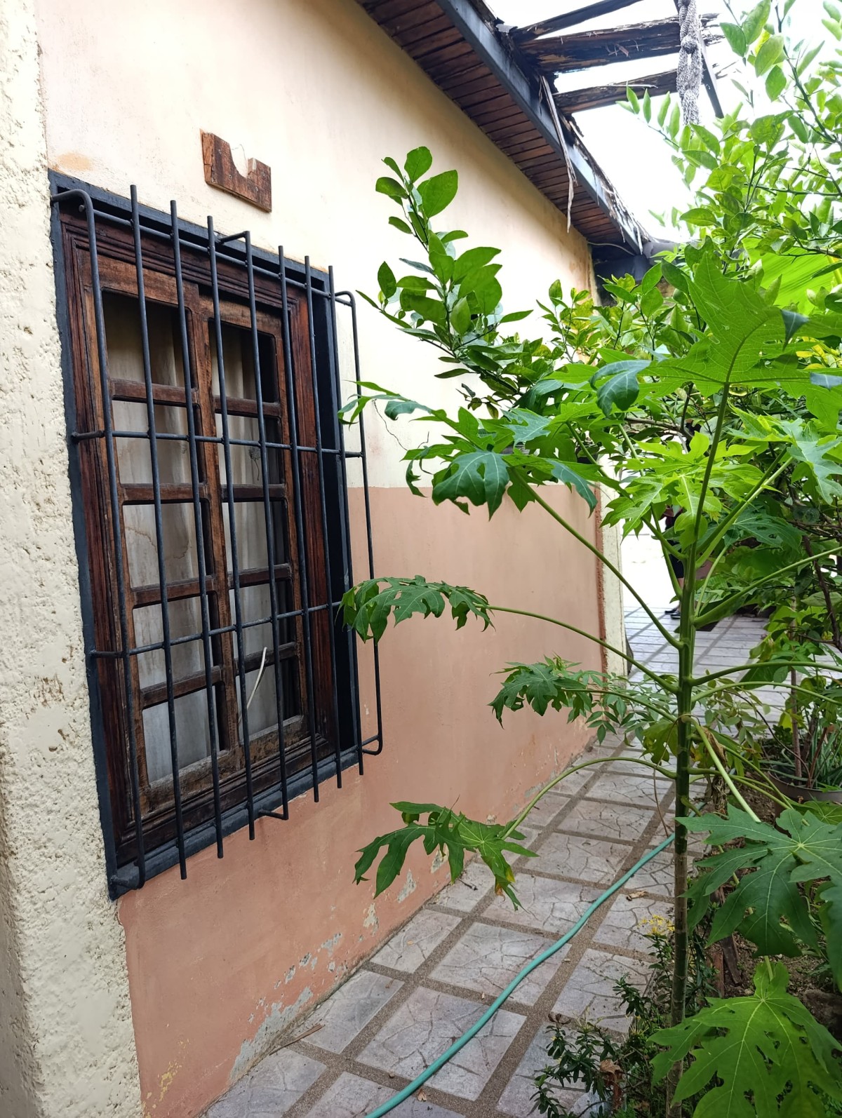 Miniatura 9
