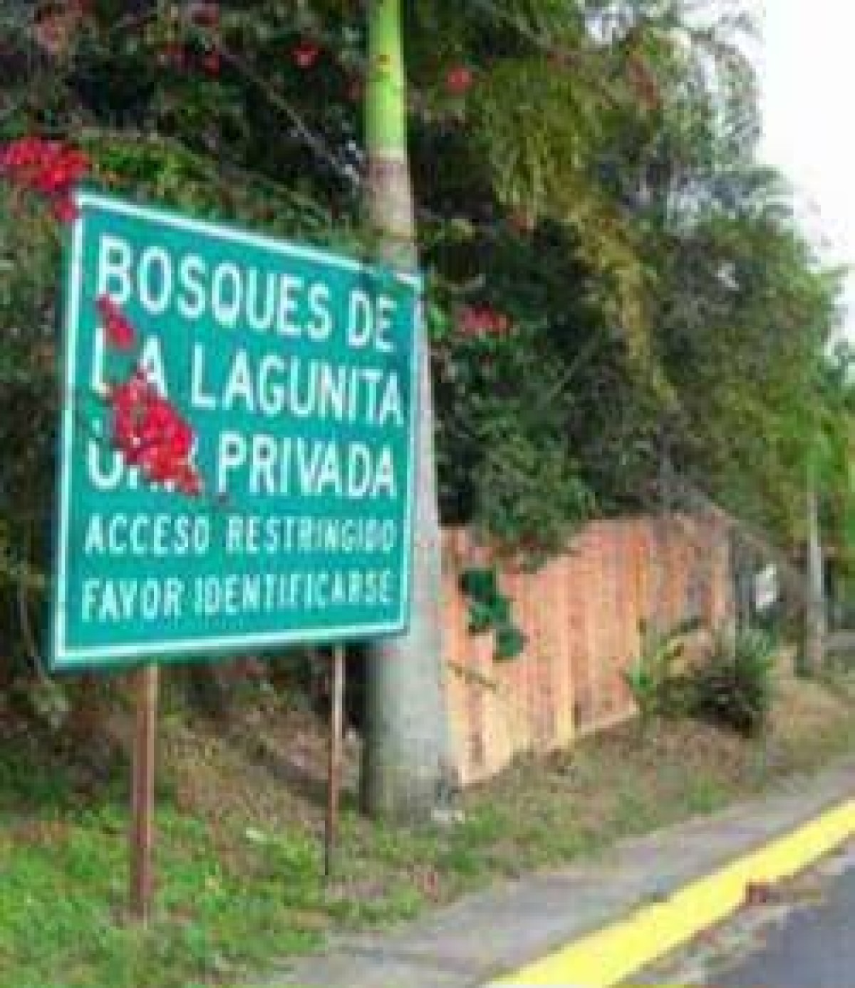 Foto principal