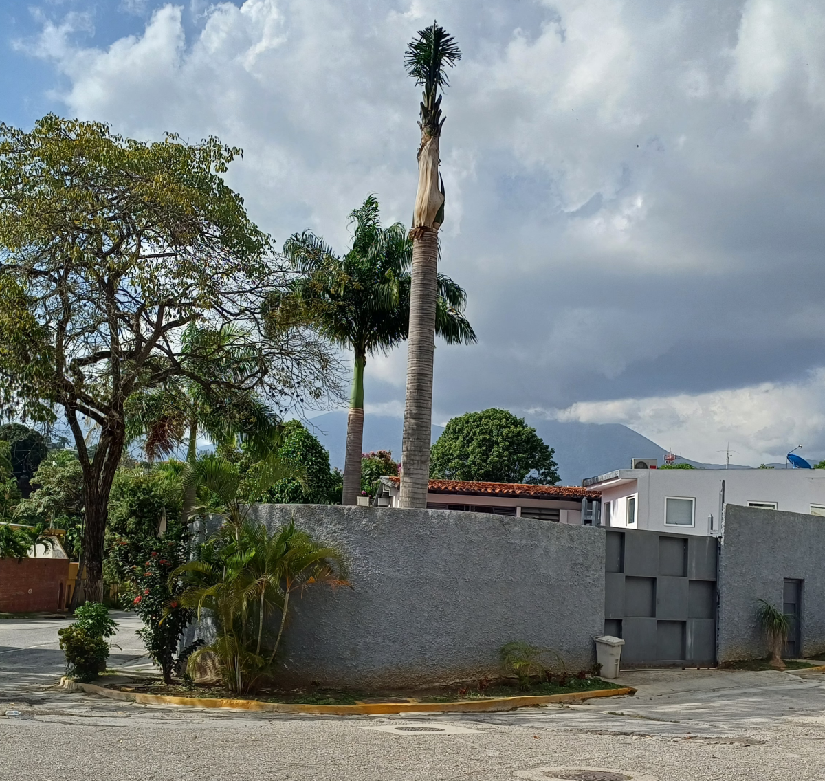 Foto principal