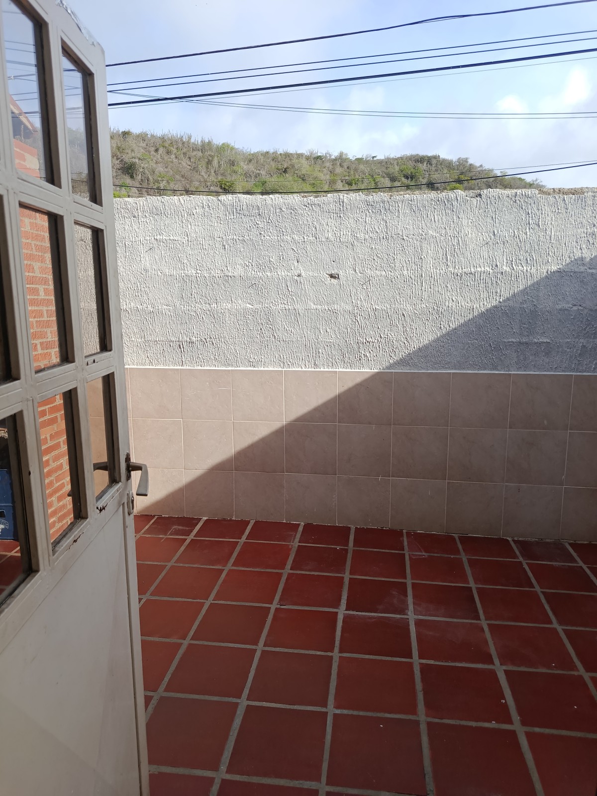 Miniatura 12
