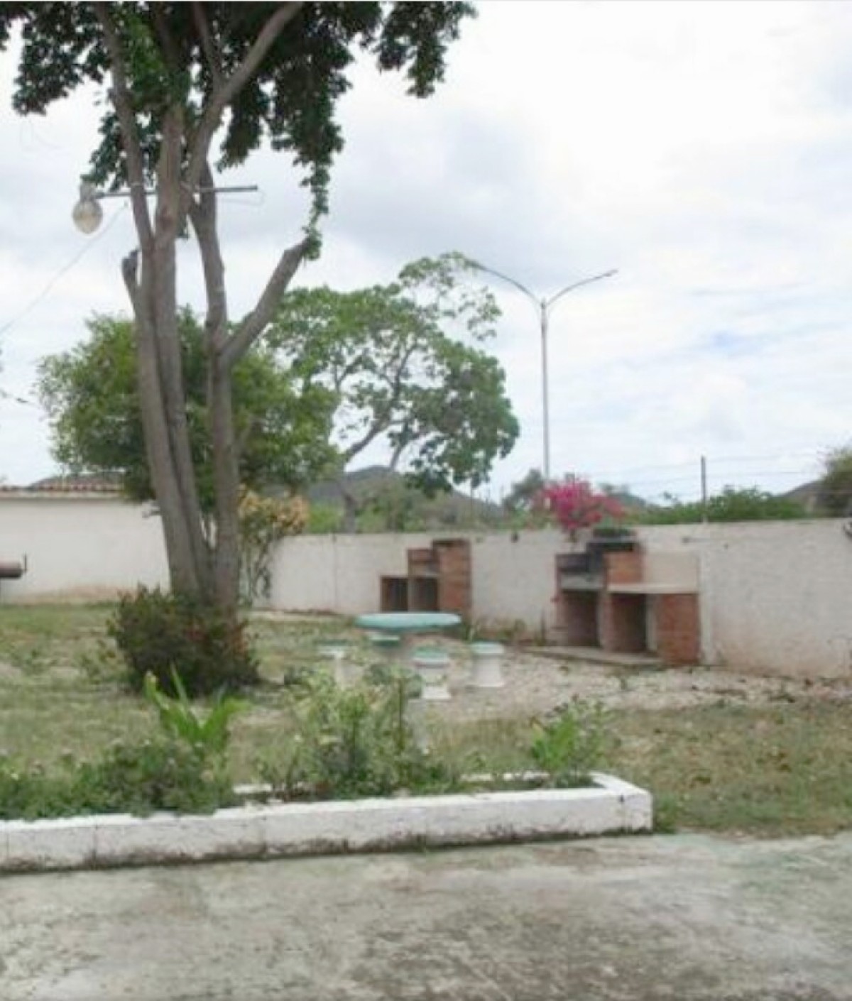 Miniatura 10