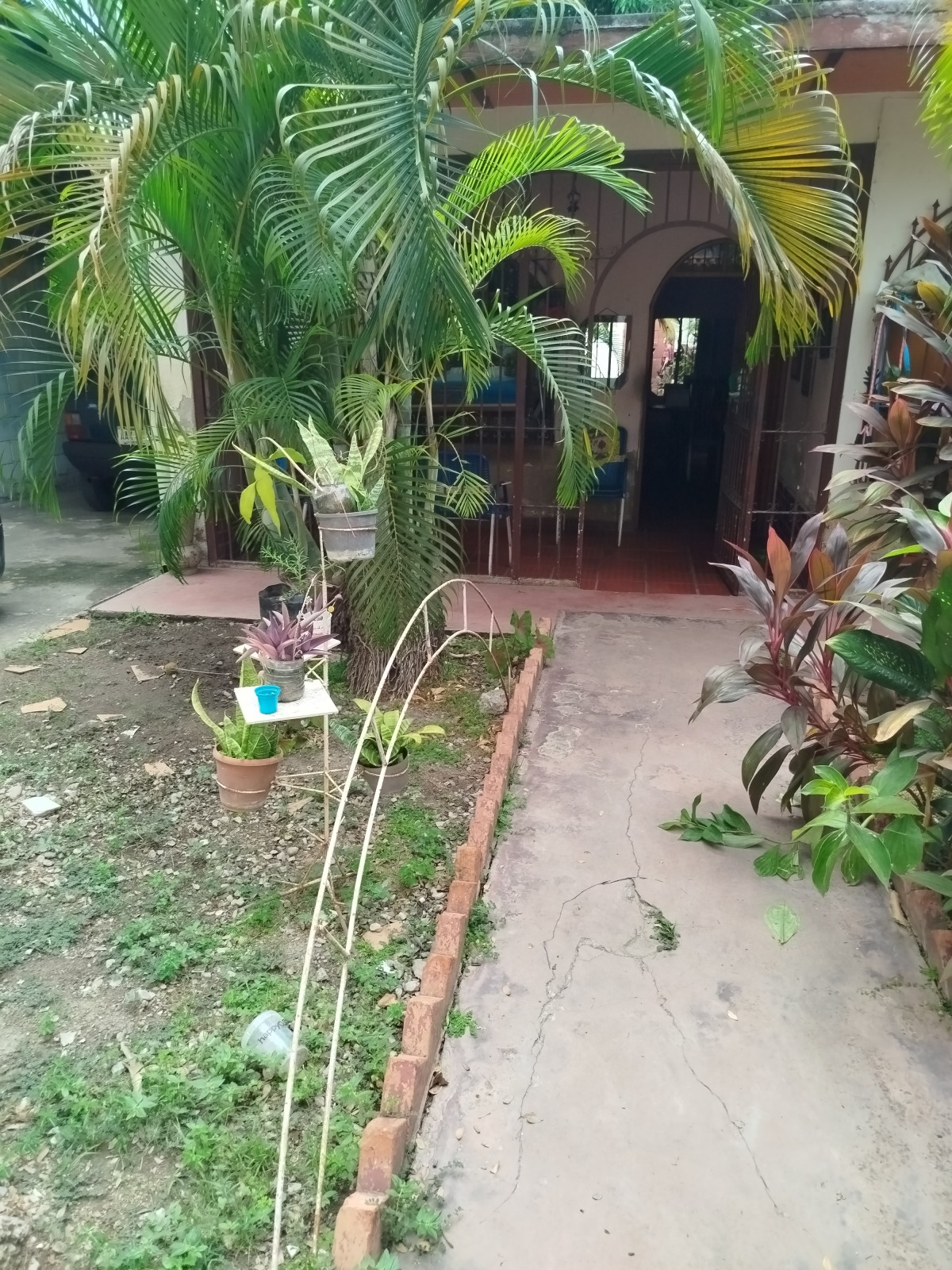 Foto principal
