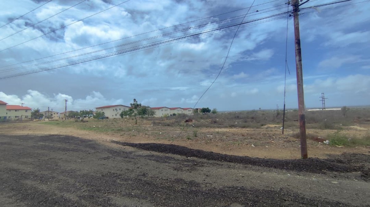 Miniatura 10
