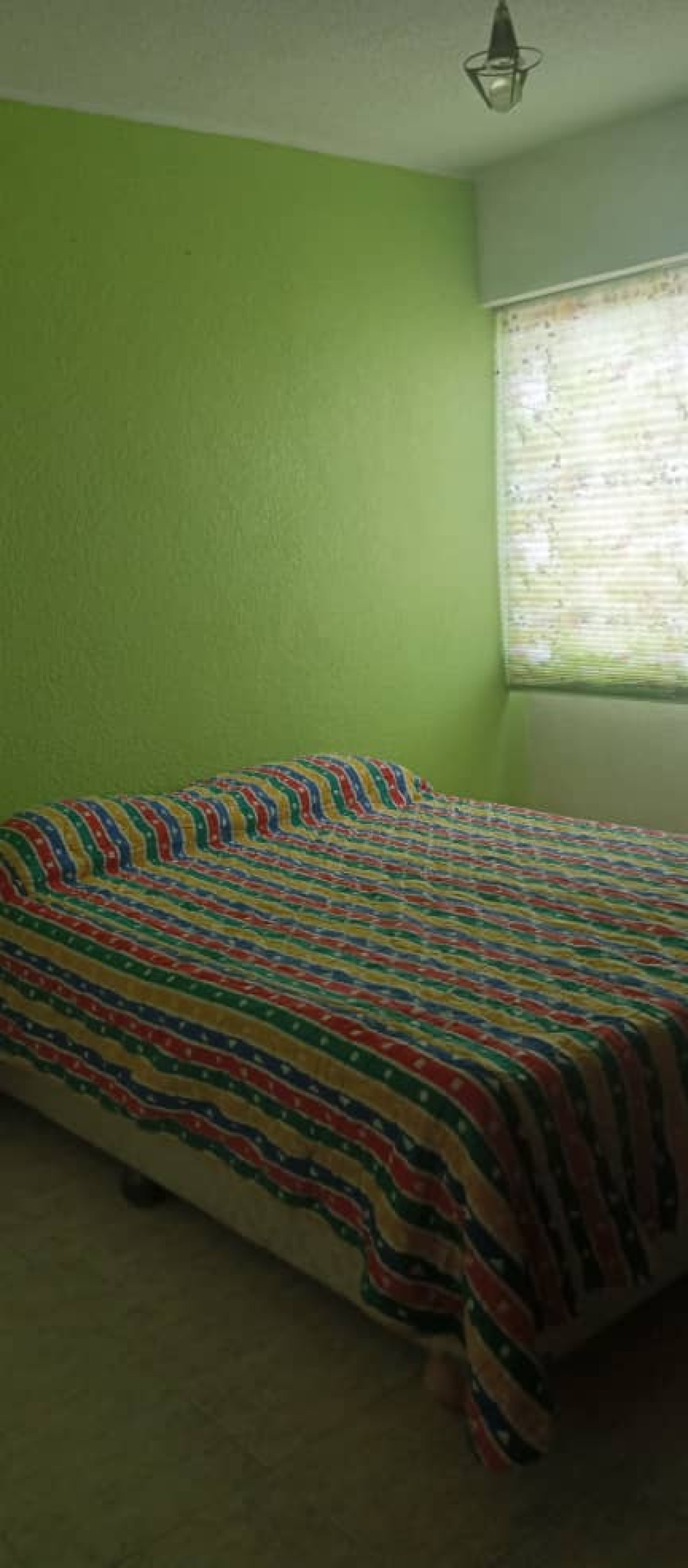 Miniatura 16