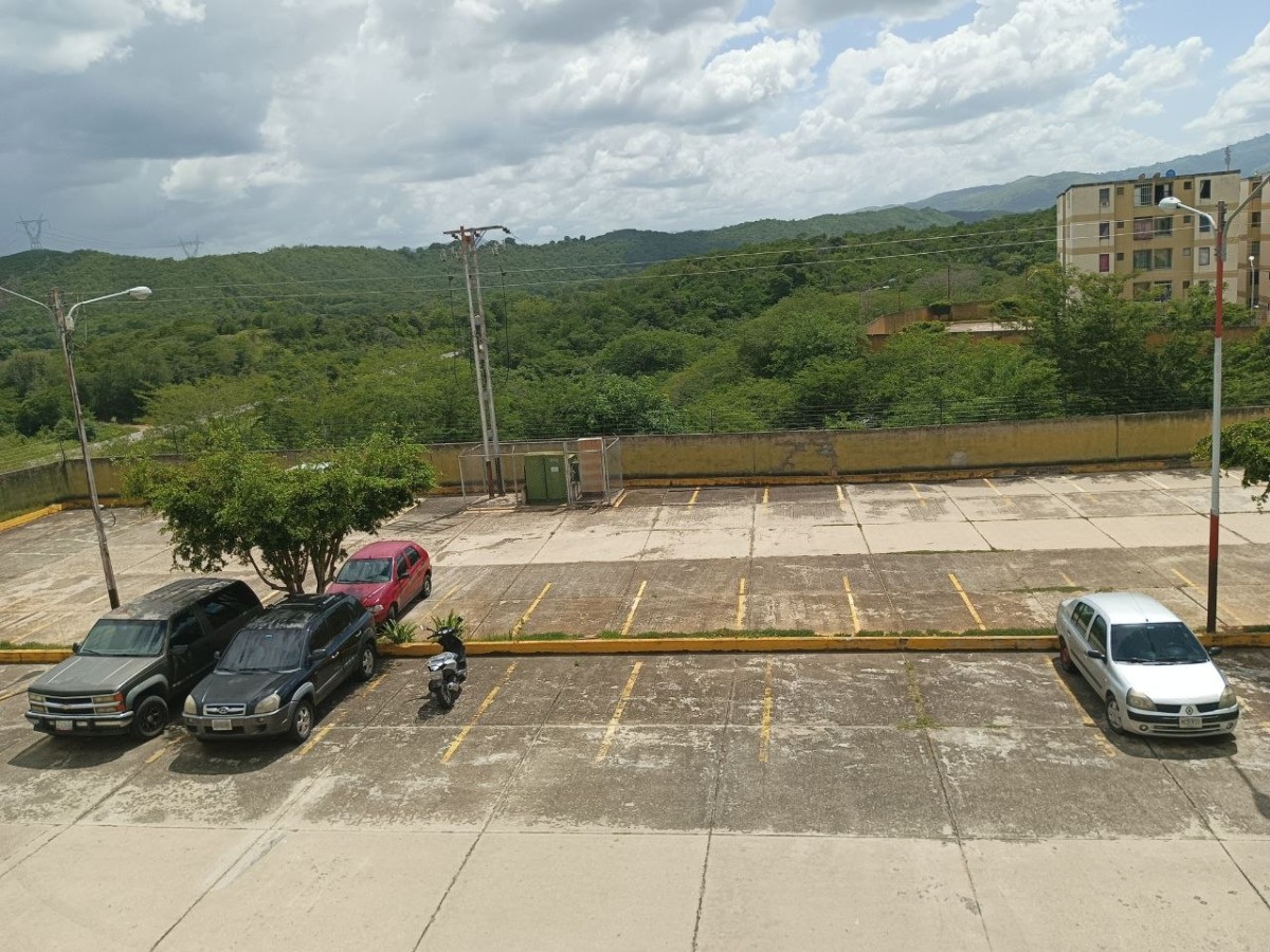 Miniatura 14