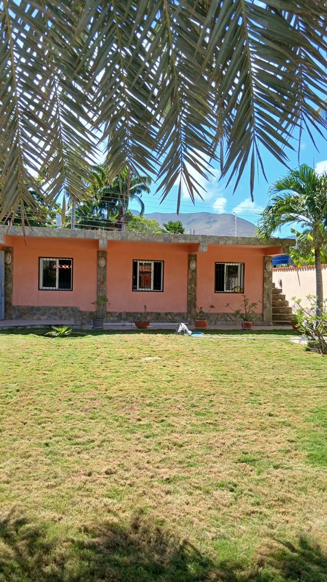 Miniatura 37