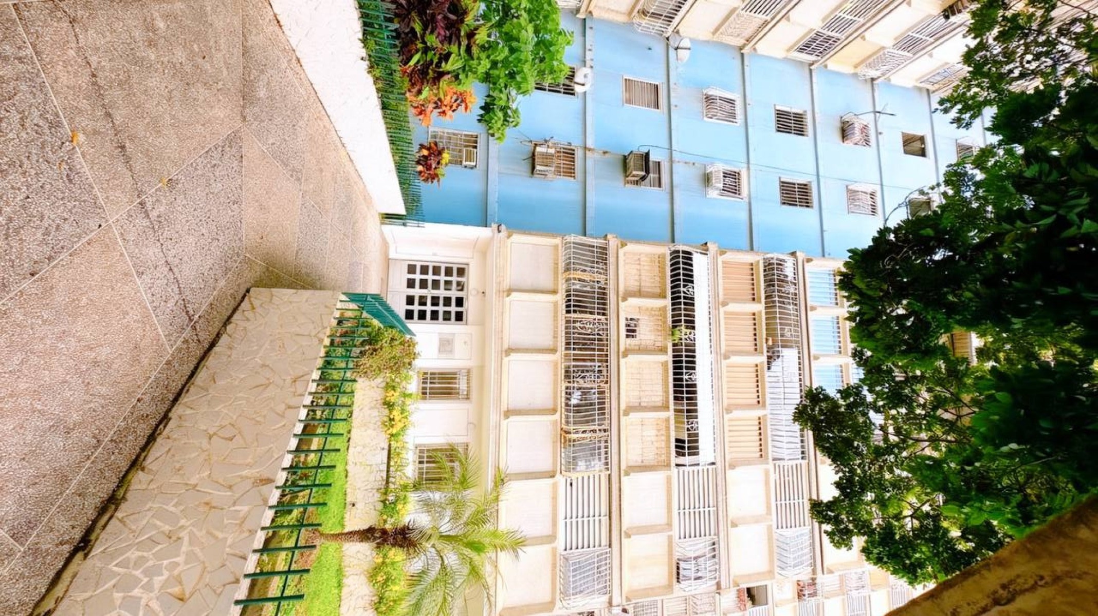Miniatura 13