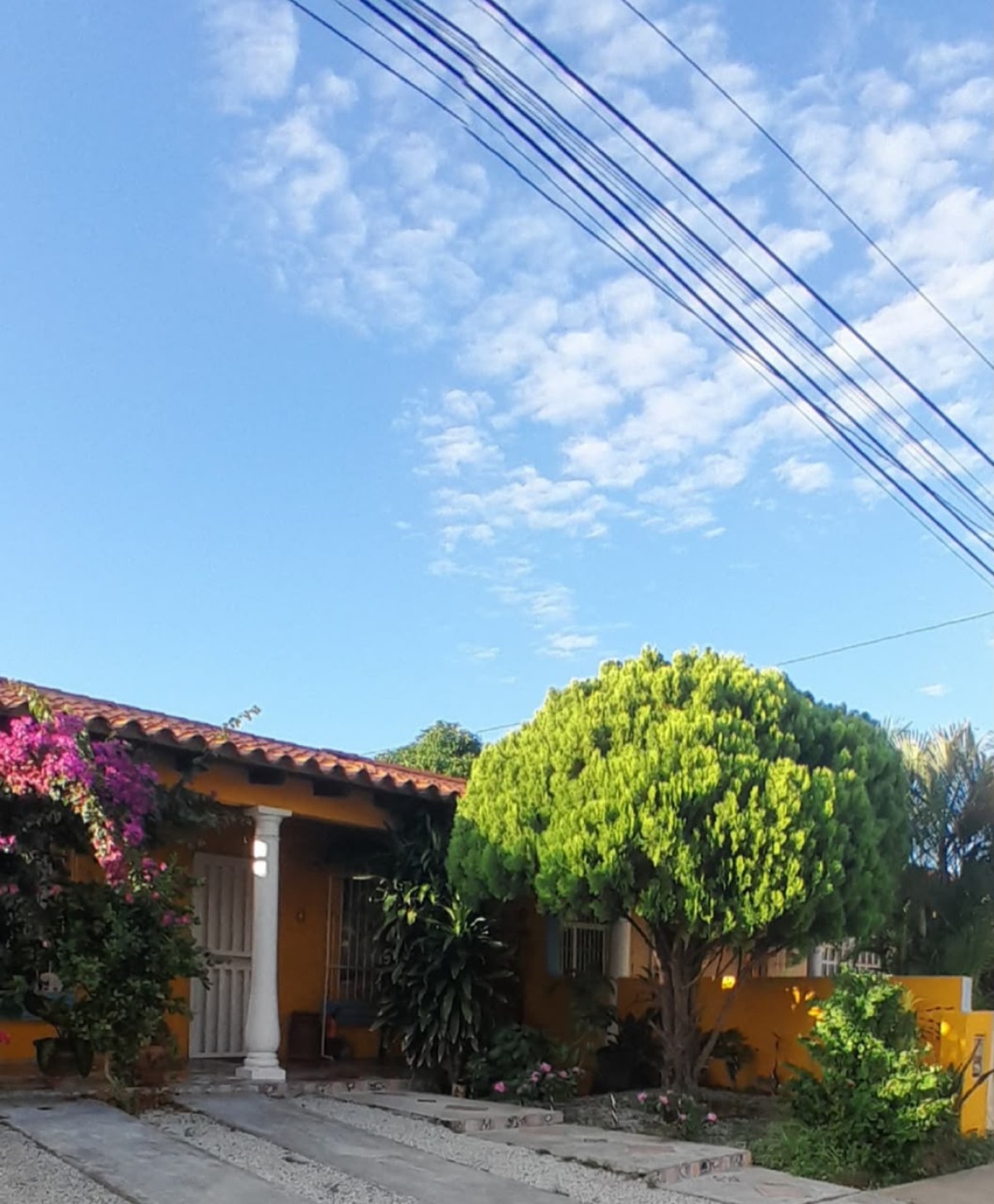 Foto principal