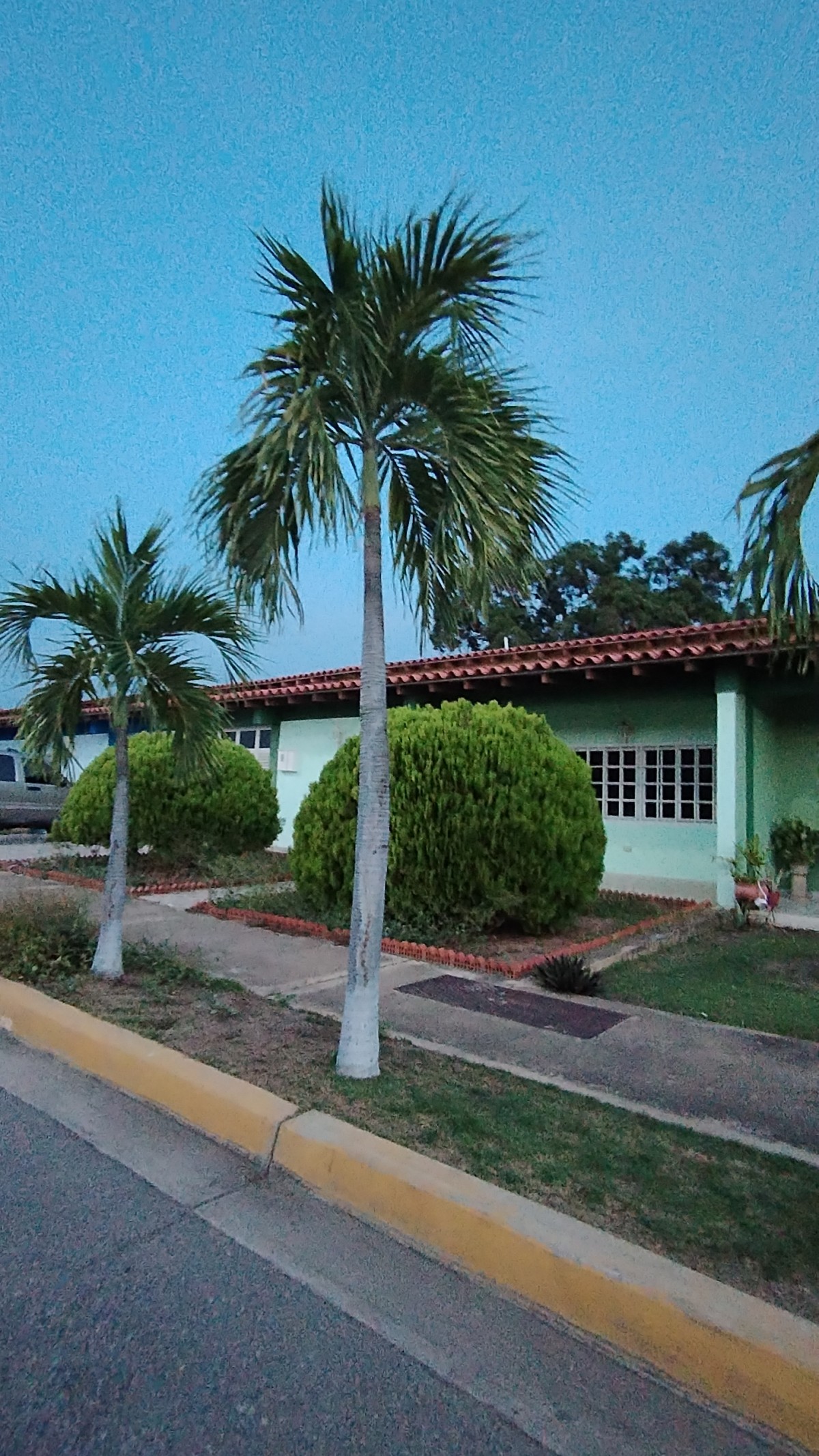 Foto principal
