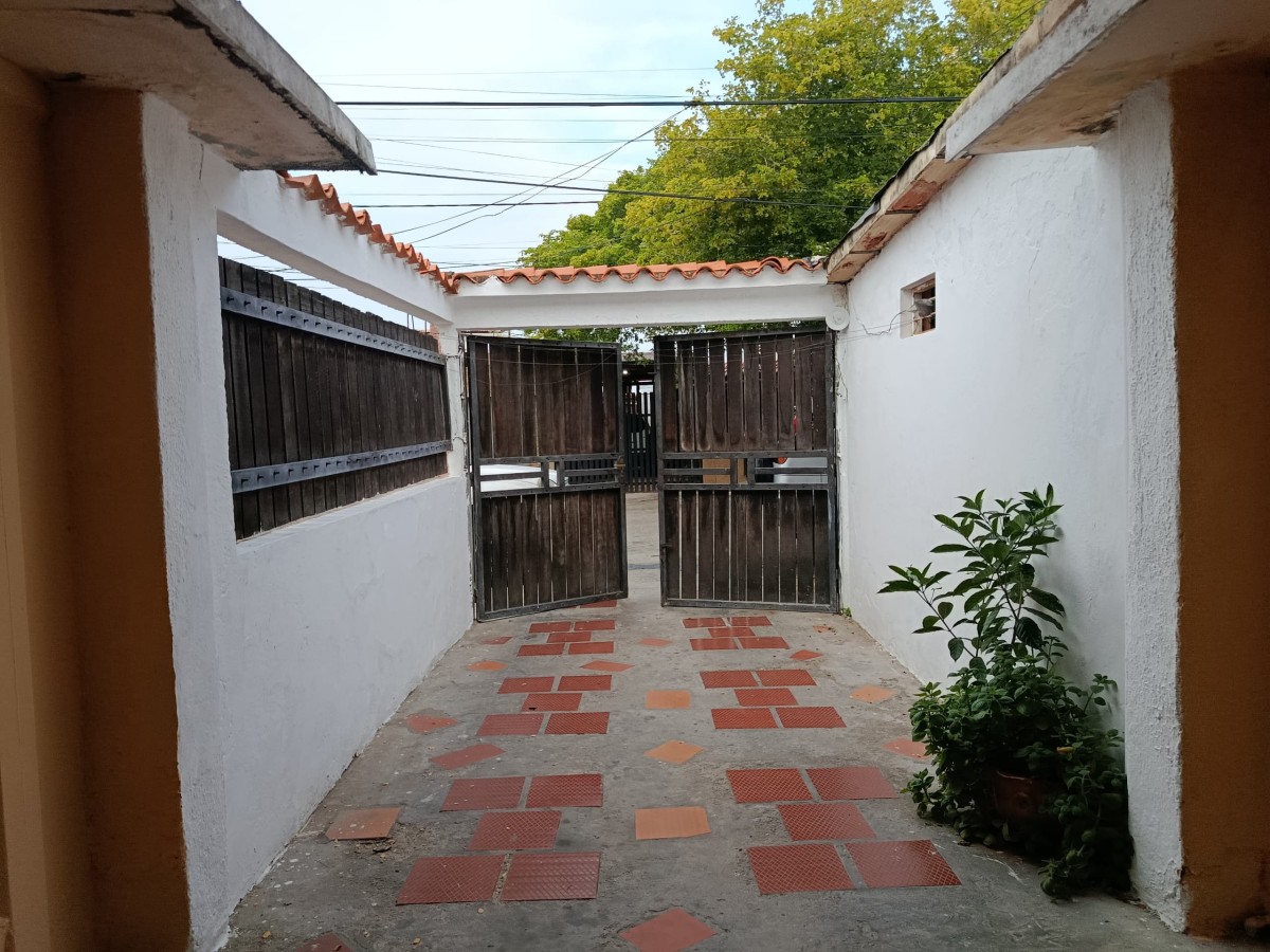 Miniatura 10