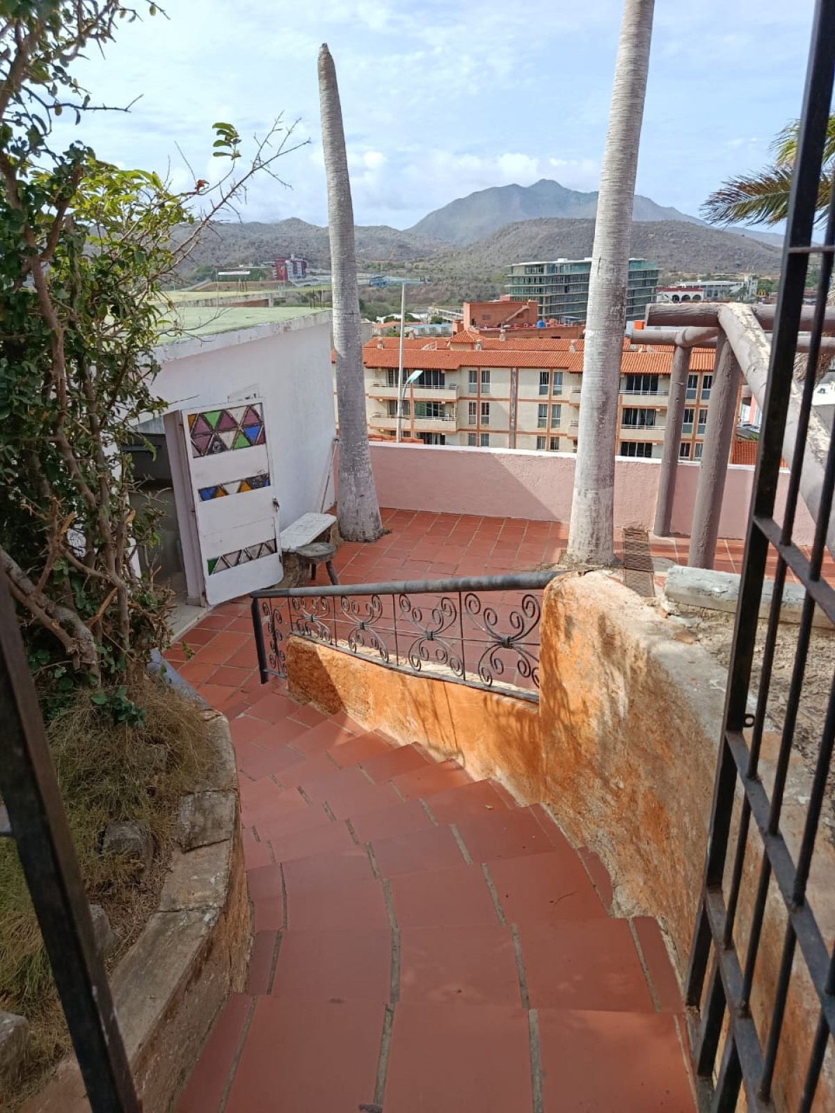 Miniatura 8