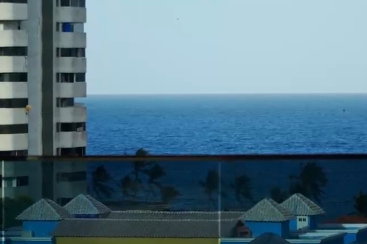 Miniatura 11