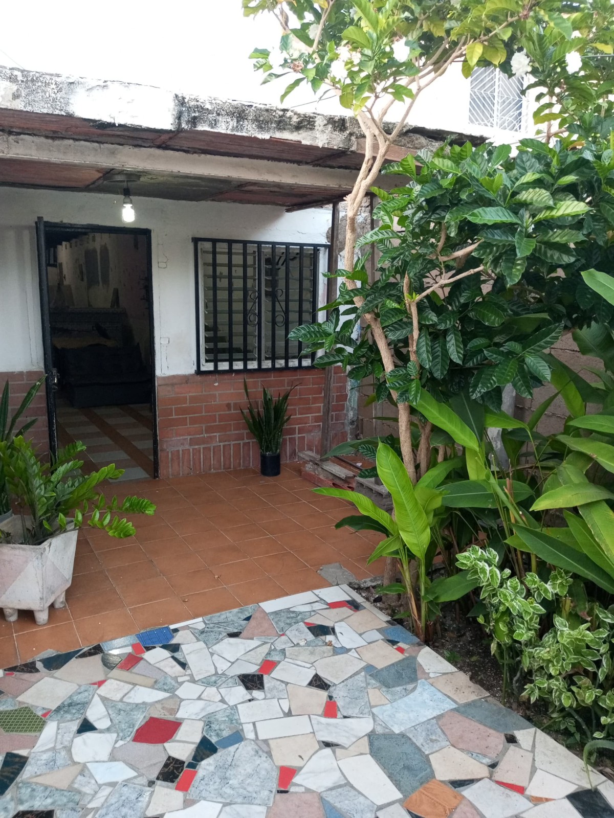 Foto principal