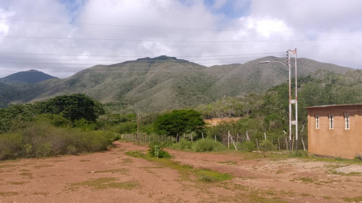 Foto principal