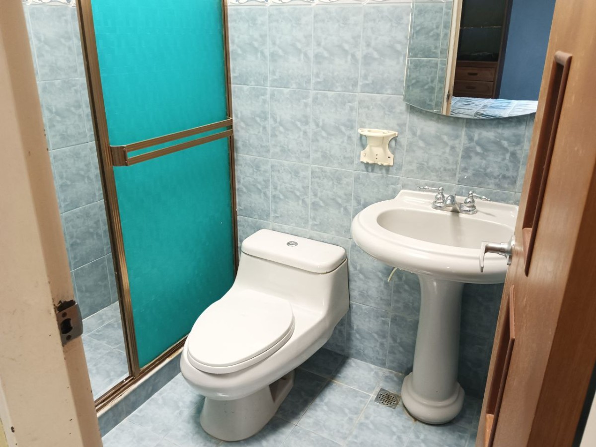 Miniatura 19