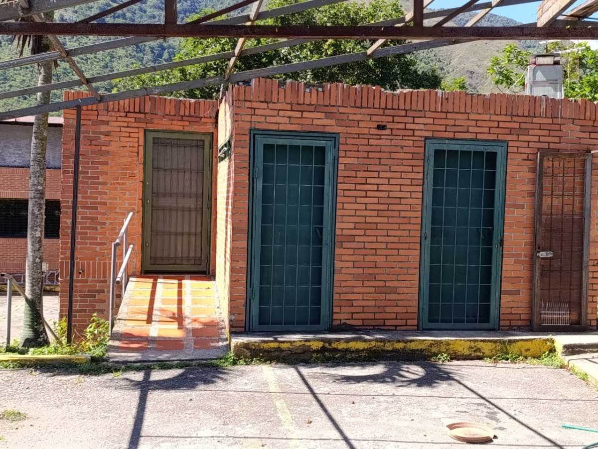 Miniatura 13
