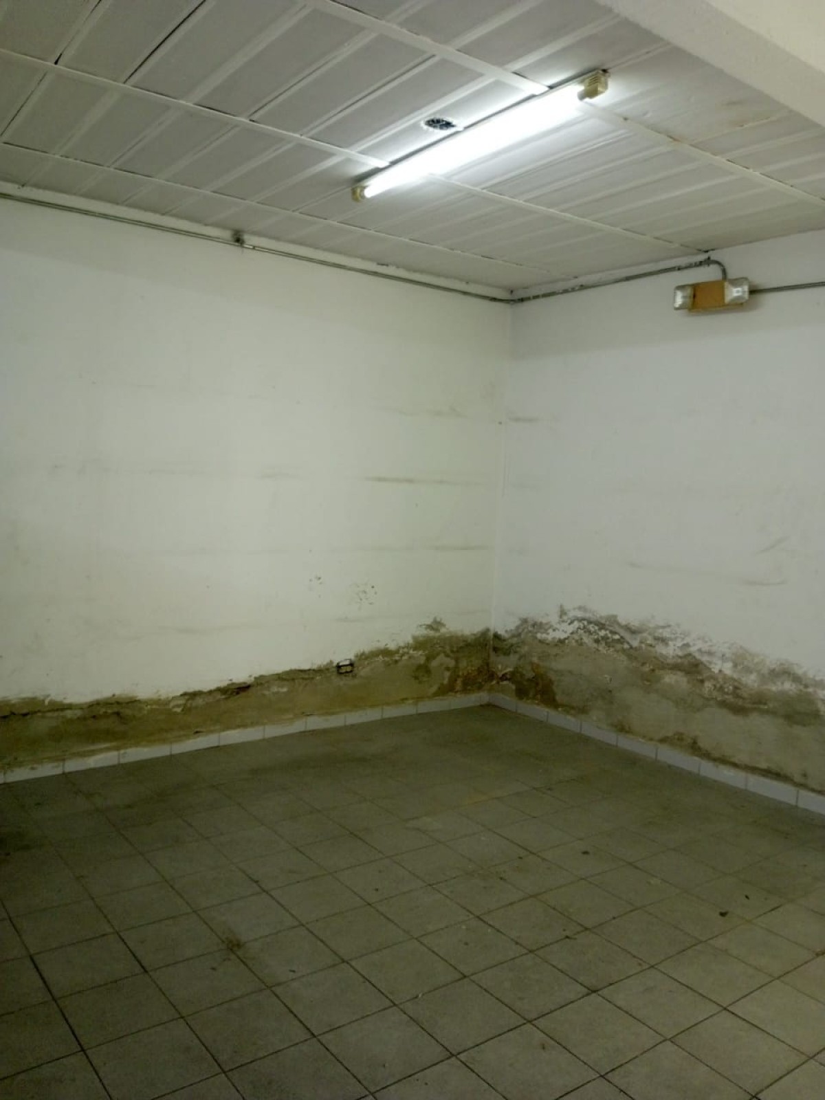 Foto principal