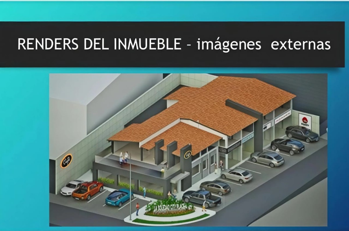 Miniatura 29