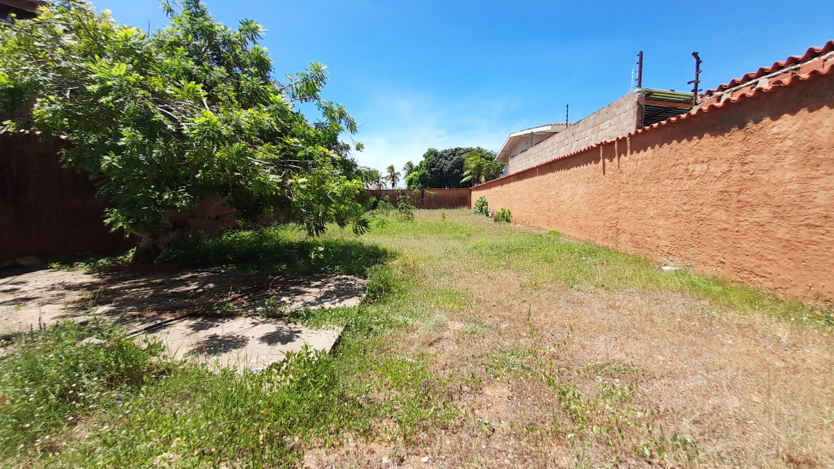 Foto principal