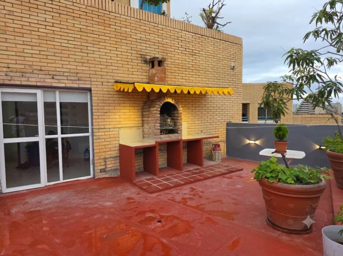 Miniatura 14