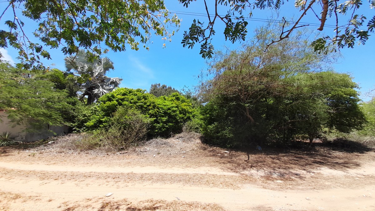 Miniatura 10