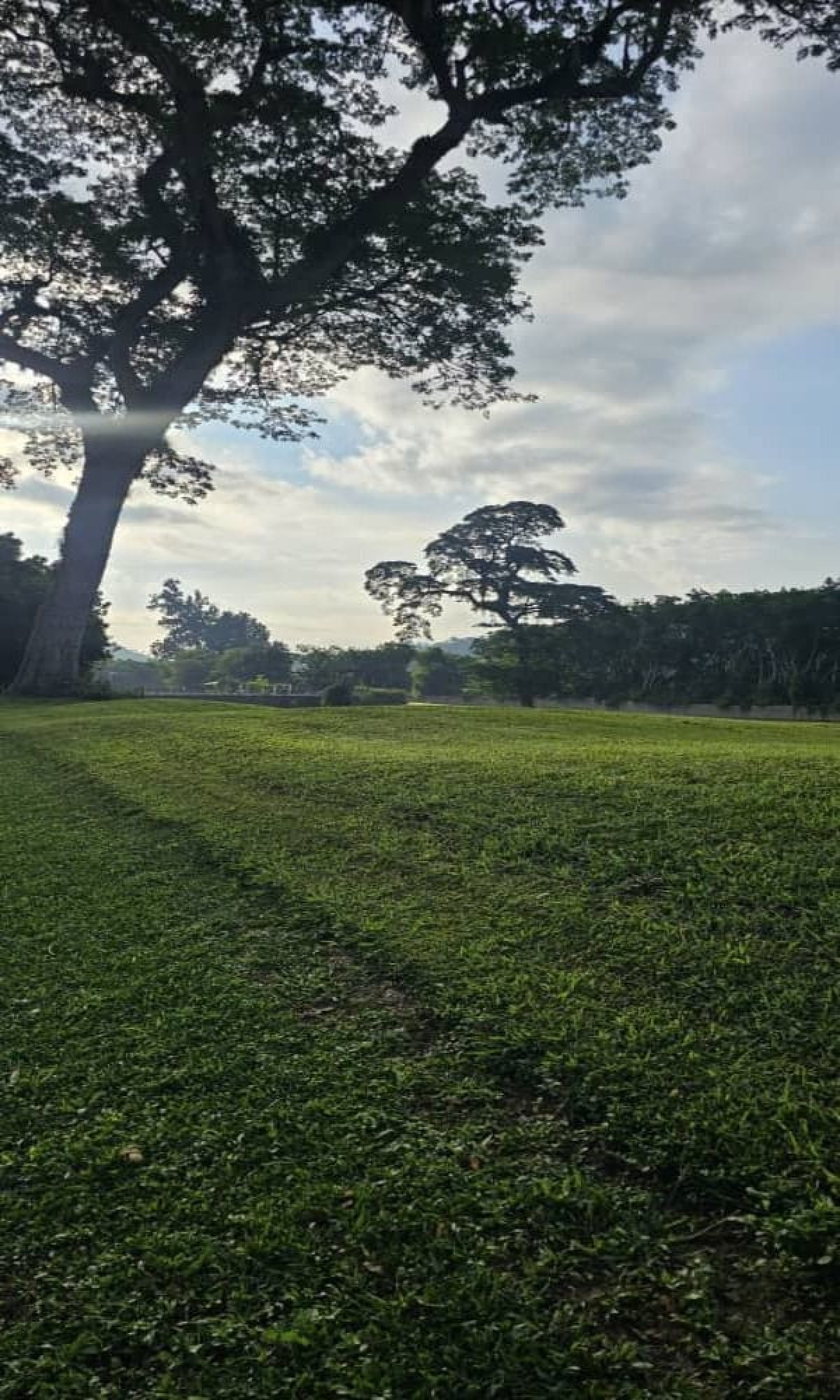 Foto principal