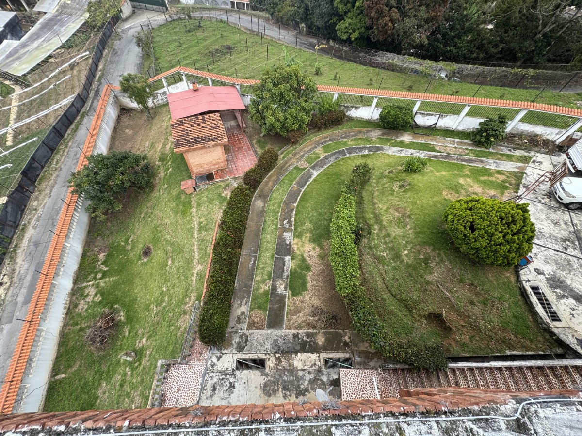 Miniatura 16
