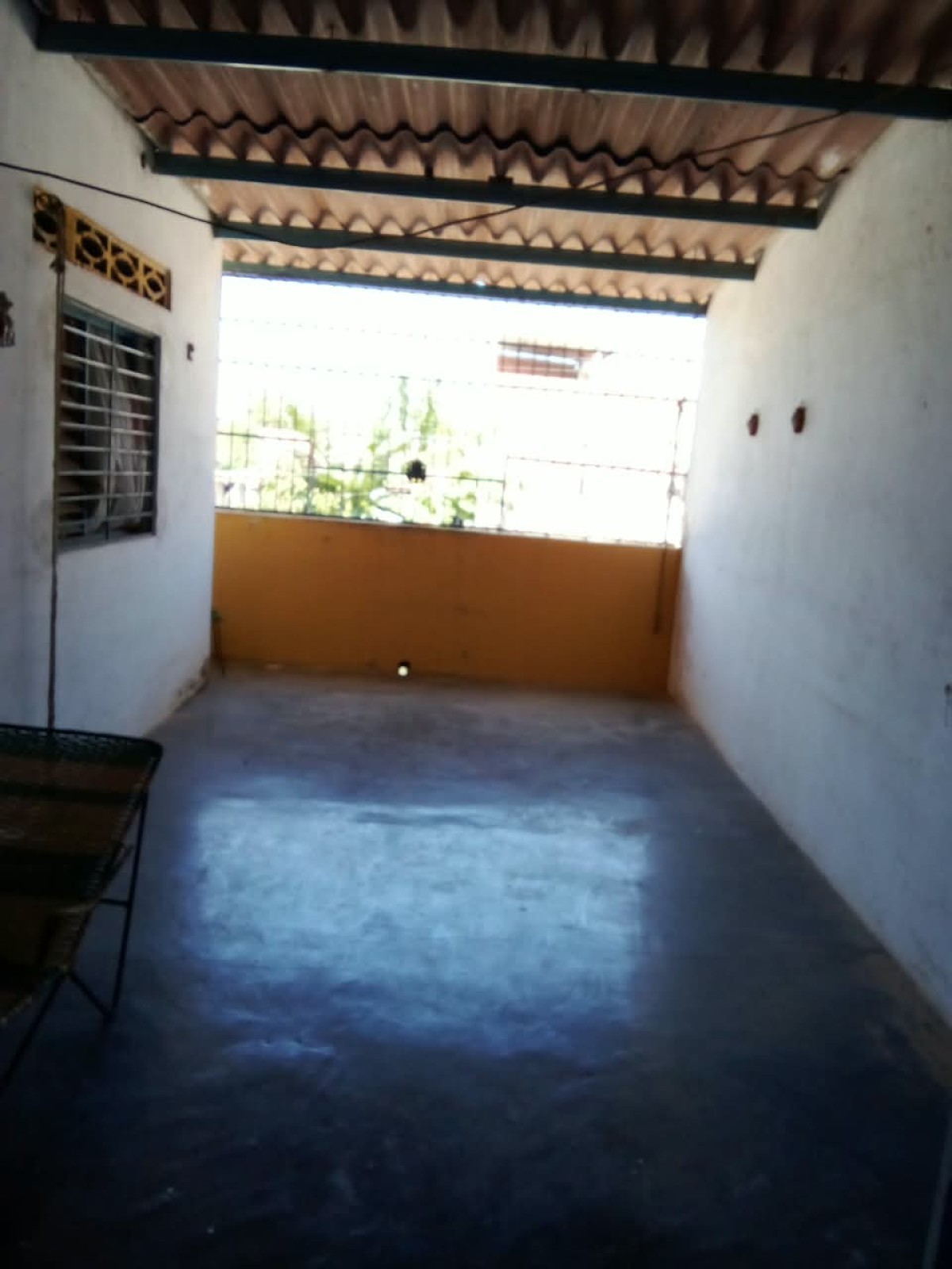 Miniatura 13