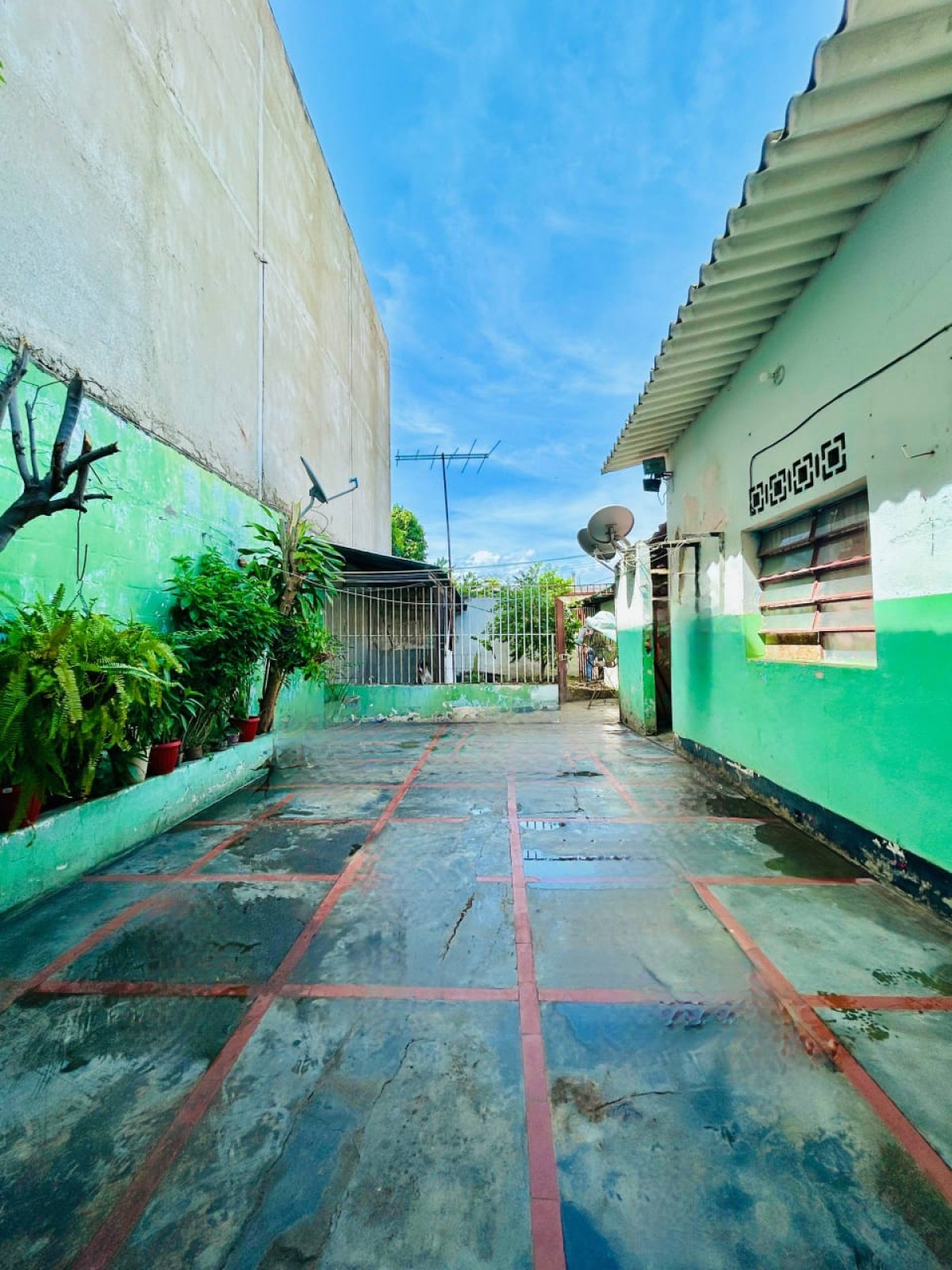 Foto principal