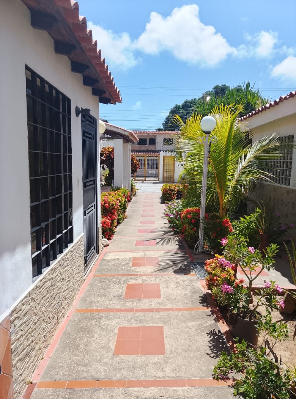 Foto principal