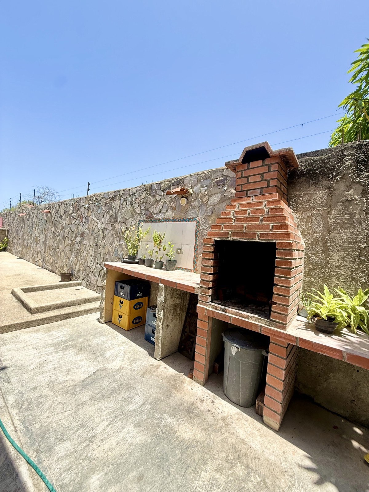 Miniatura 11