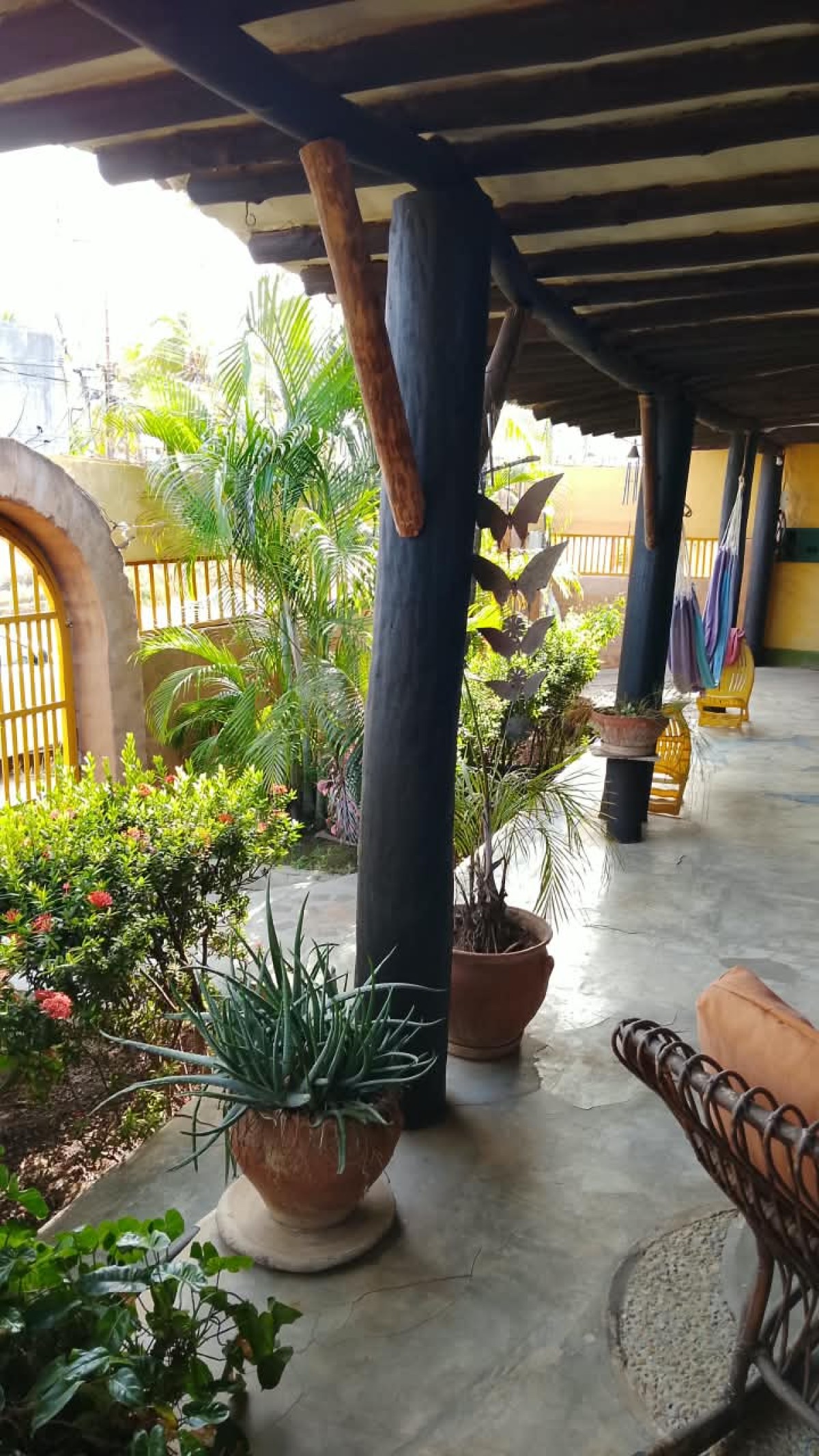 Foto principal