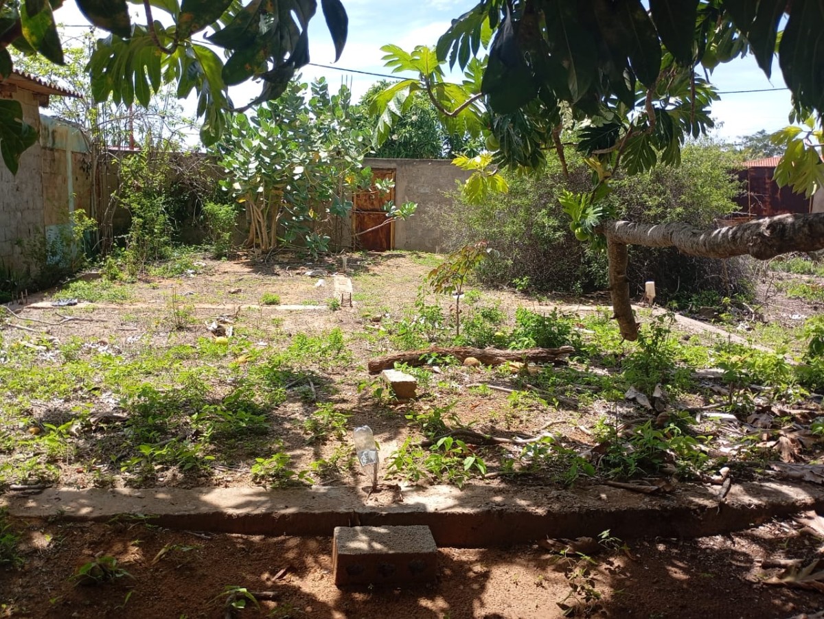 Foto principal