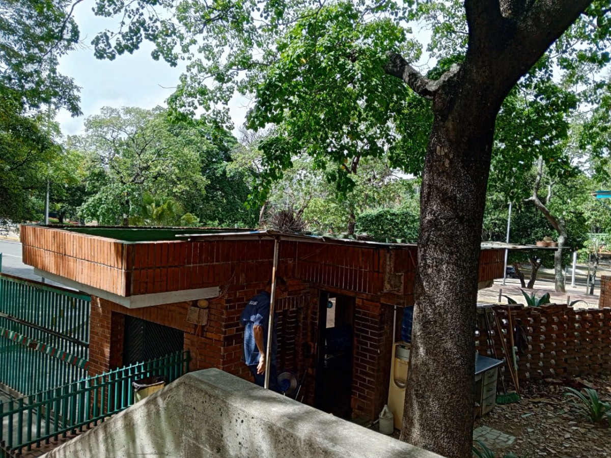 Miniatura 9