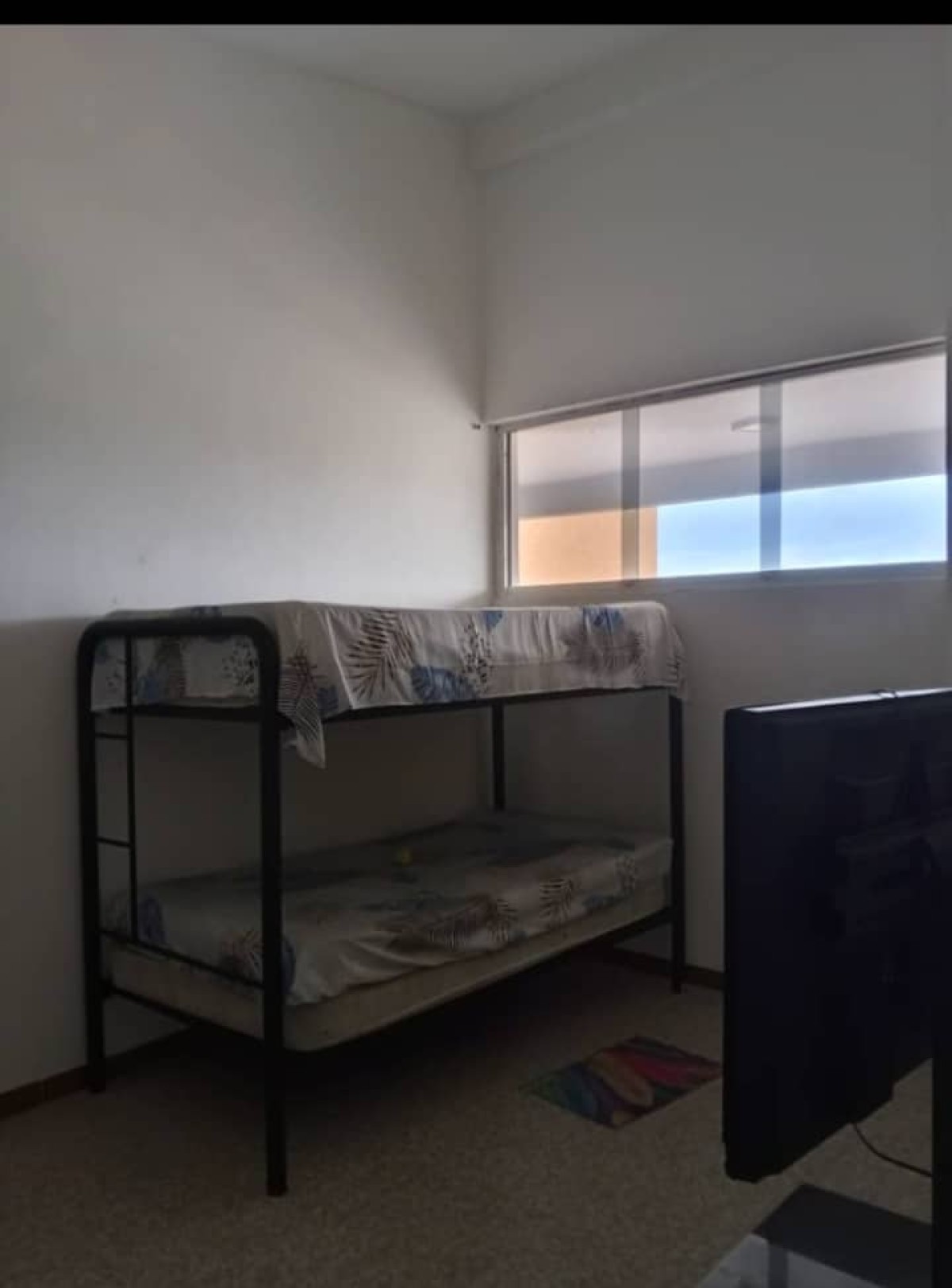 Miniatura 16