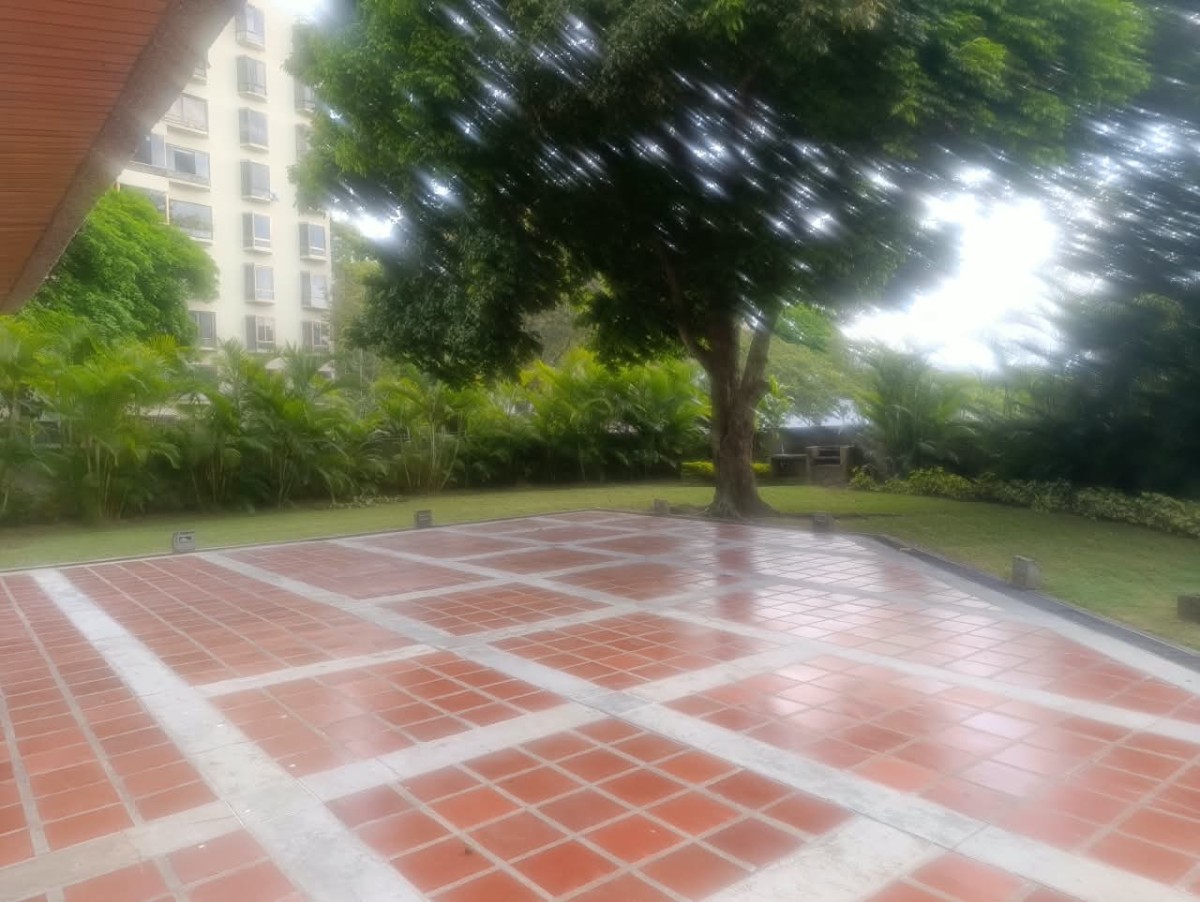 Miniatura 29